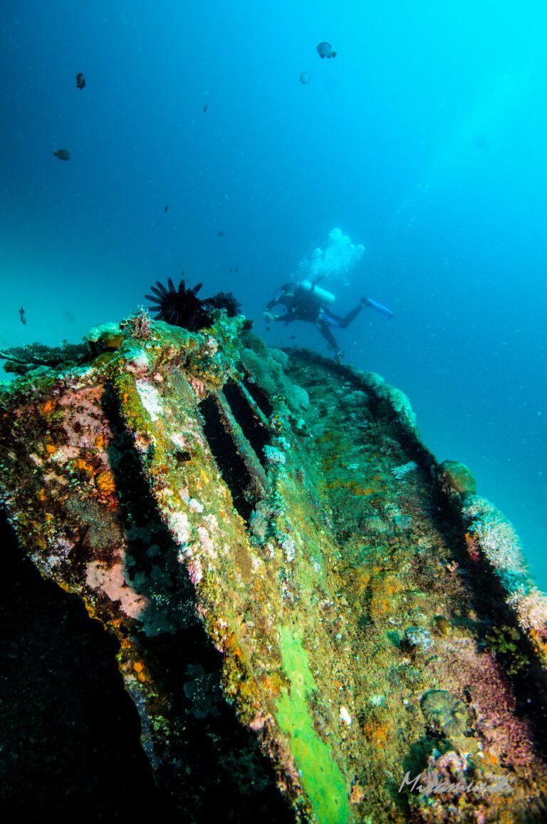 A diver at Sabang Wrecks Puerto Galera