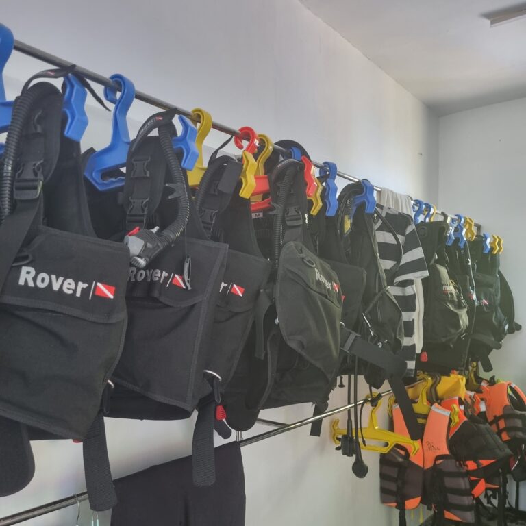 Diving gear