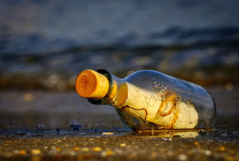 Beach wedding bottle proposal