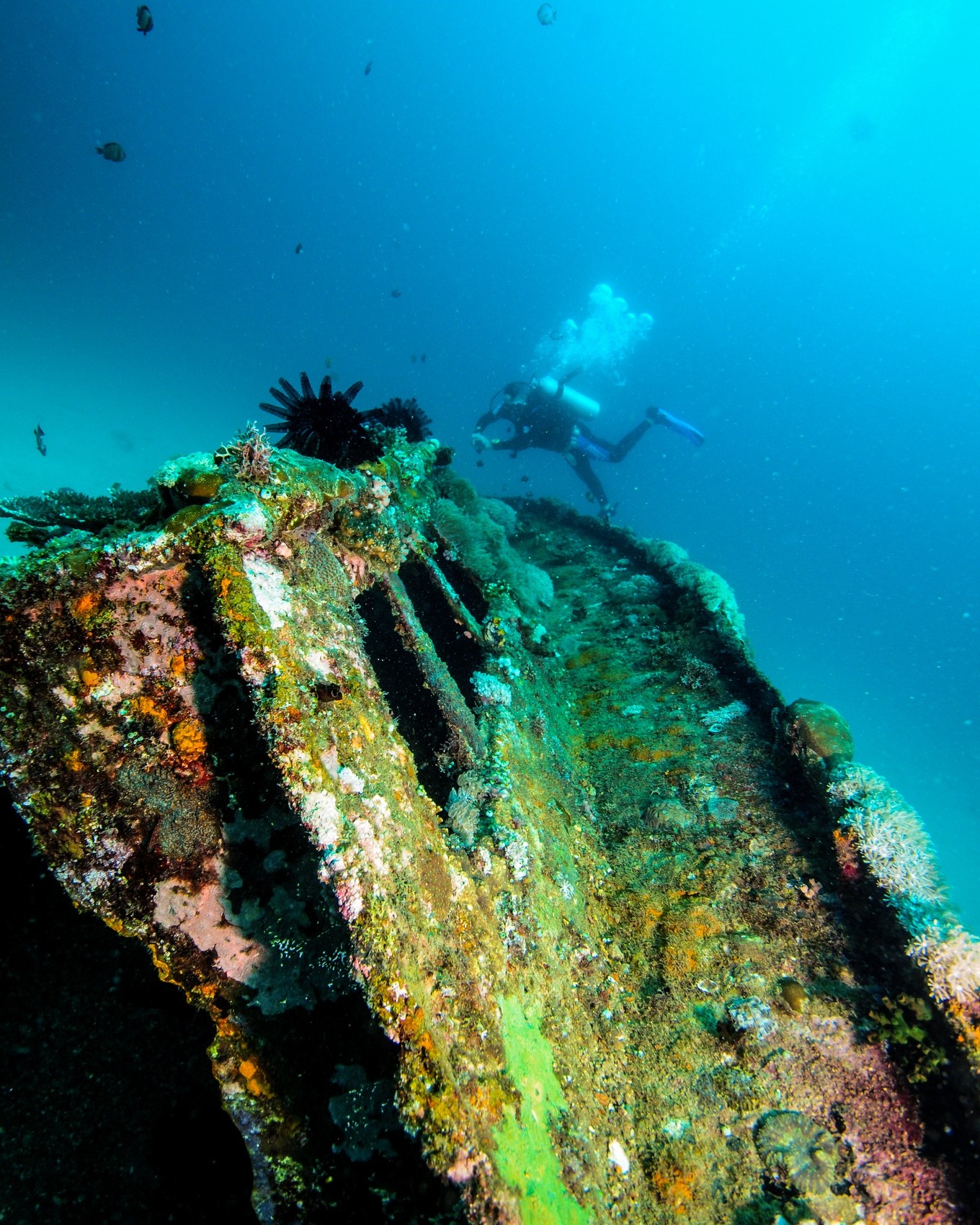 Sabang Wrecks