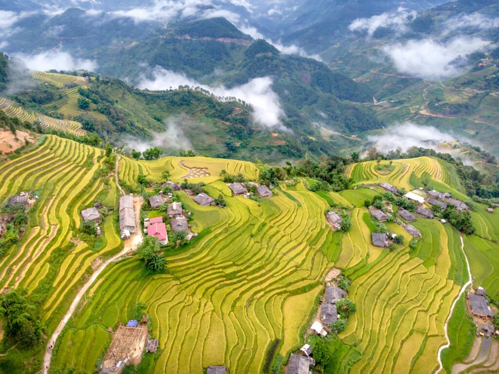 Aerial Photography of Banaue Rice Terraces