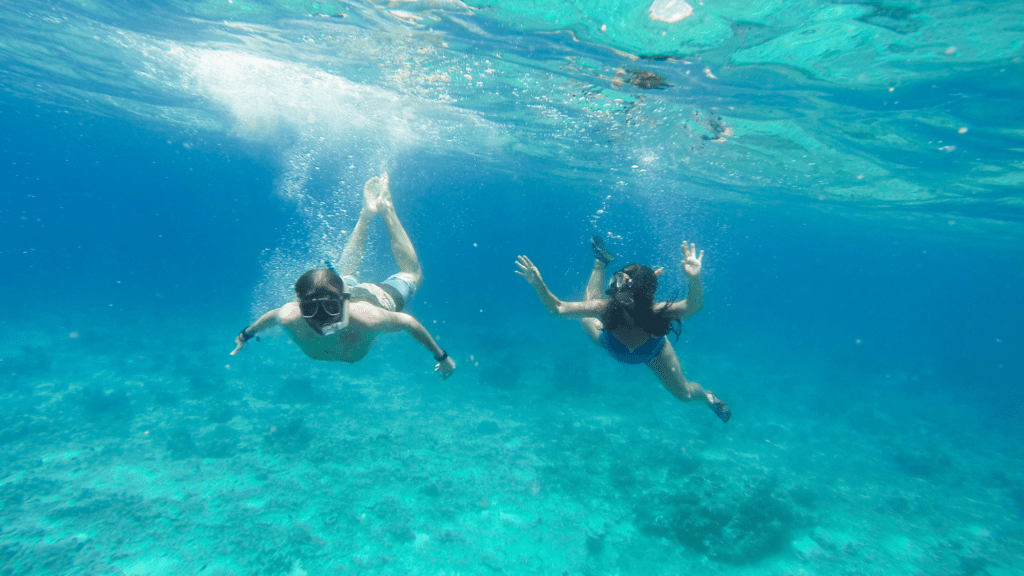 People Snorkeling