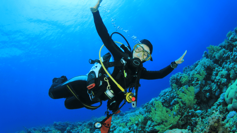 Scuba diver with complete gear