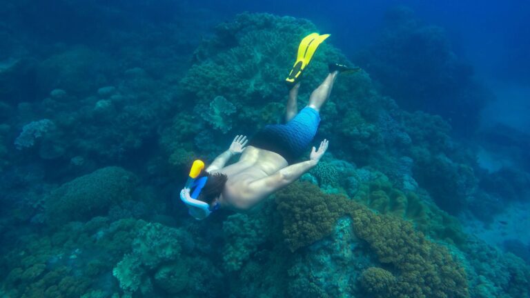 Apo Reef Snorkelling