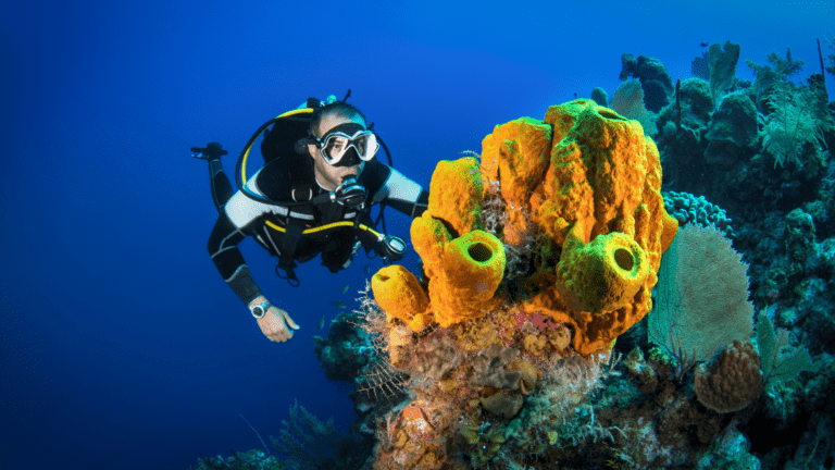 Diving in Apo Reef