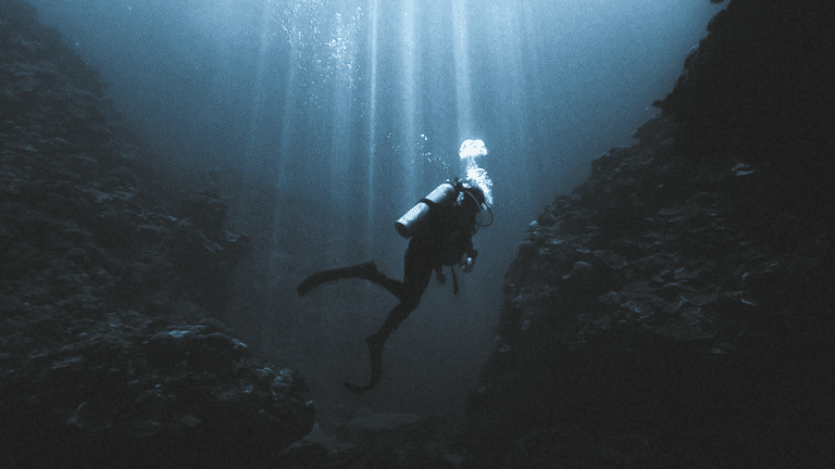 Quiet and Meditative Diving