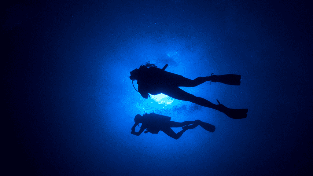 Scuba Divers Night Diving