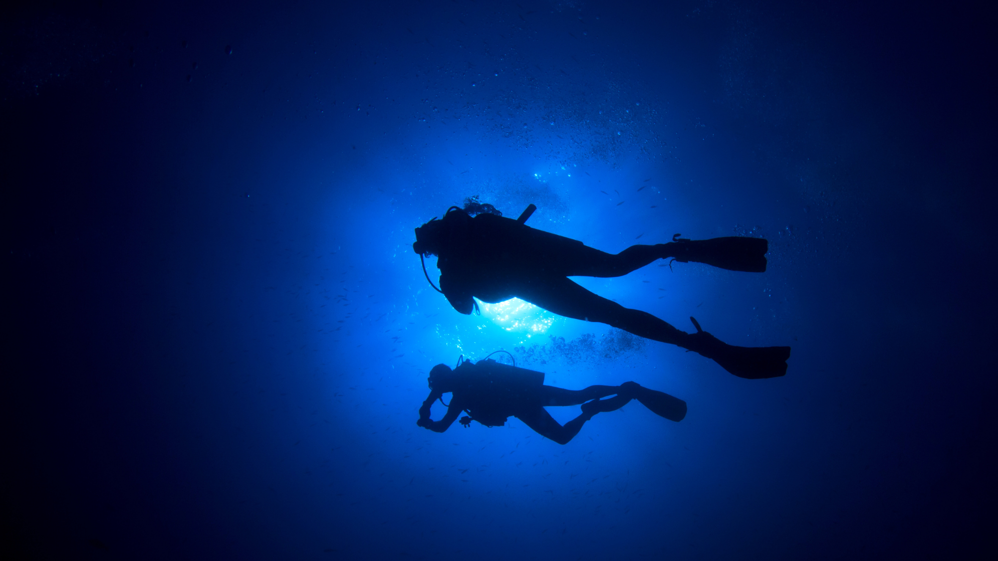 Scuba Divers Night Diving