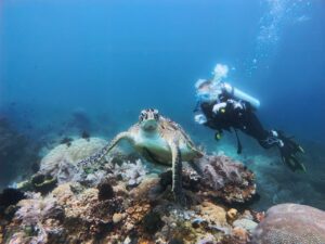 Scuba diving with a turtle