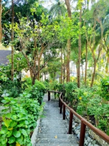 Stairway going to the villas at Casalay Puerto Galera